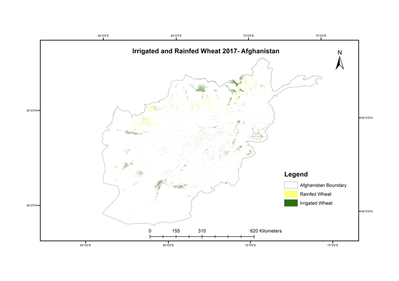 Wheat Sown Areas in Afghanistan 2017