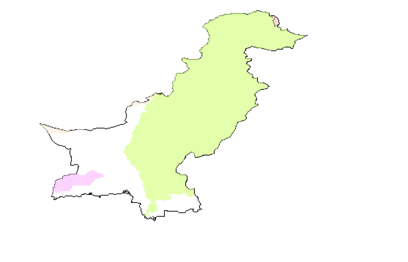 overview