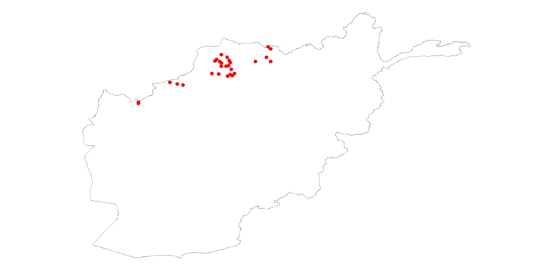 overview