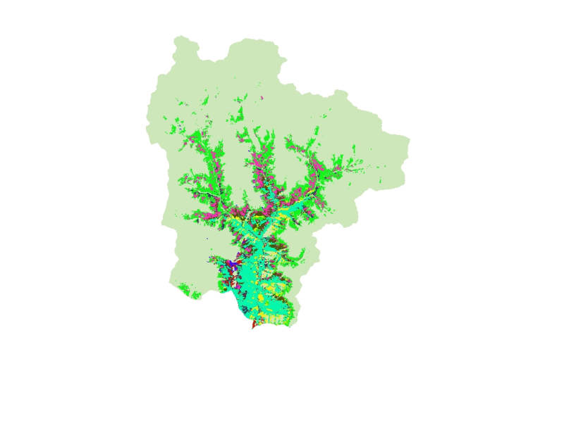 overview