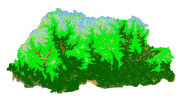 overview