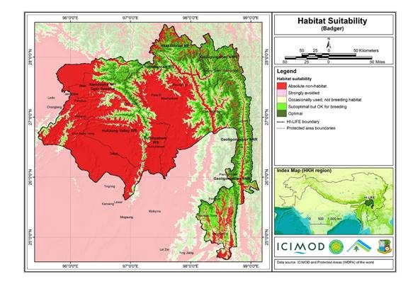 Habitat suitability data for the Badger