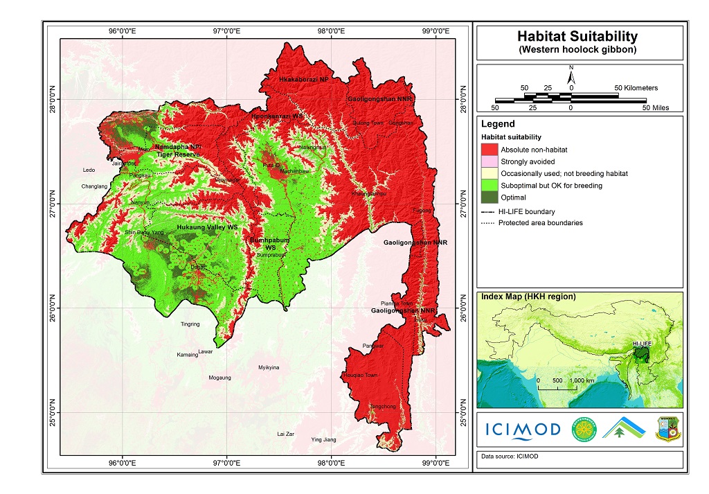 Habitat suitability data for the Western hoolock gibbon