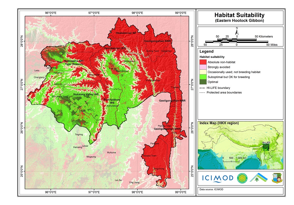 Habitat suitability data for the Eastern hoolock gibbon