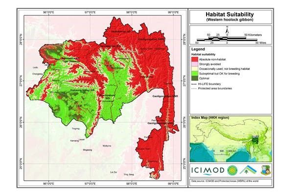 Habitat suitability data for the Western hoolock gibbon