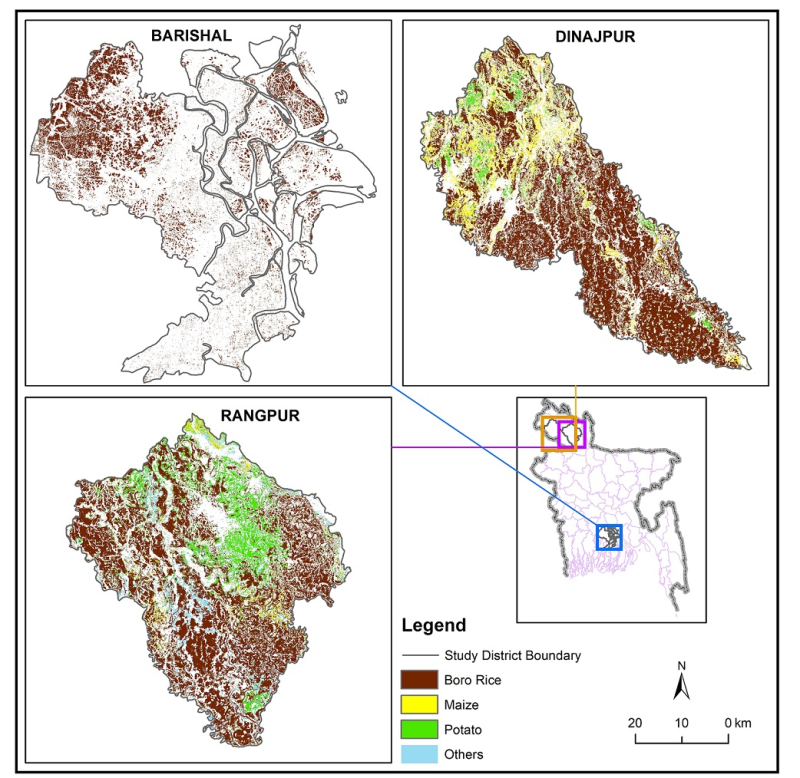 Crop data of Barisal, Dinajpur and Rangpur districts of Bangladesh - 2019