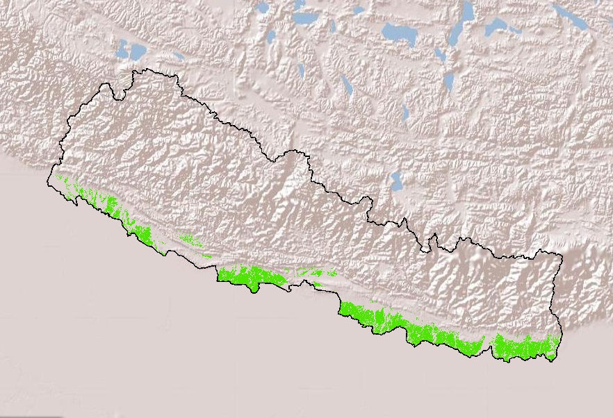 Crop sown area for Rice crop